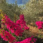 Sea View Goldins House *