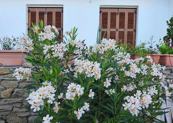 Sea View Goldins House Дом отдыха Птелеос