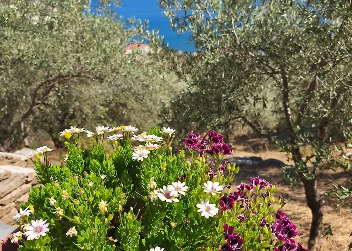 Sea View Goldins House Дом отдыха Птелеос