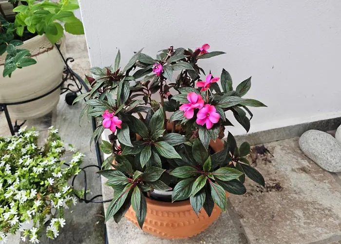 Sea View Goldins House *