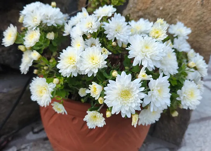 Sea View Goldins House Дом отдыха Птелеос