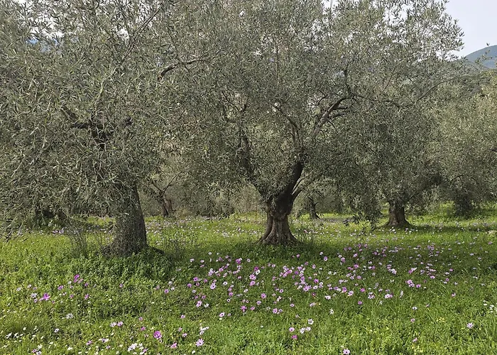 Дом отдыха Sea View Goldins House