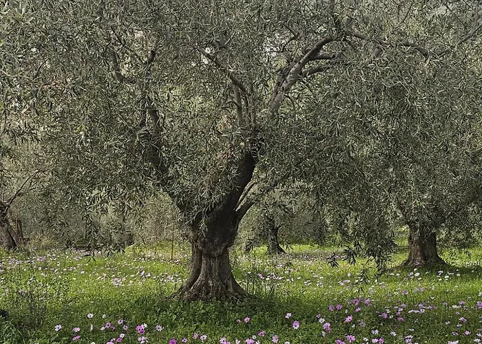 Sea View Goldins House Дом отдыха