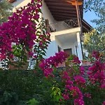 Sea View Goldins House
