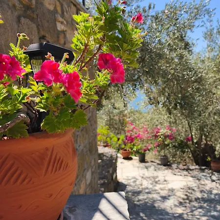 Sea View Goldins House בית נופש Pteleós