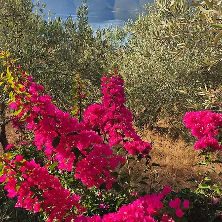 Sea View Goldins House *