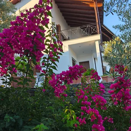 Sea View Goldins House