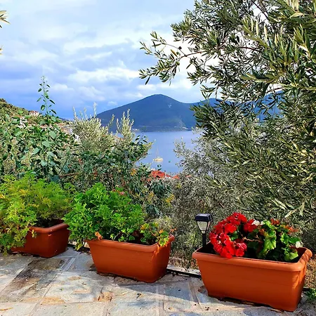 Sea View Goldins House *