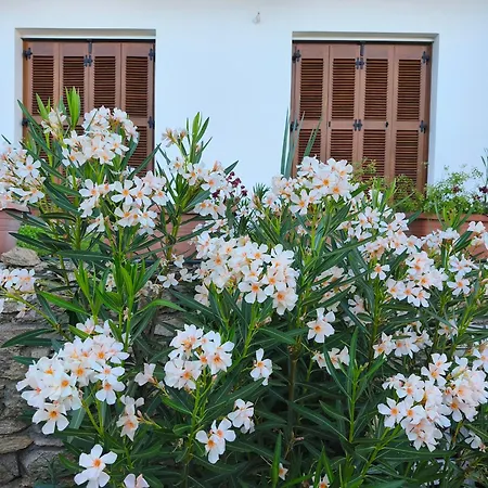 Sea View Goldins House بيت للعطل Pteleós