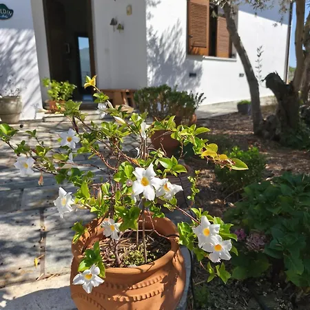בית נופש Sea View Goldins House Pteleós