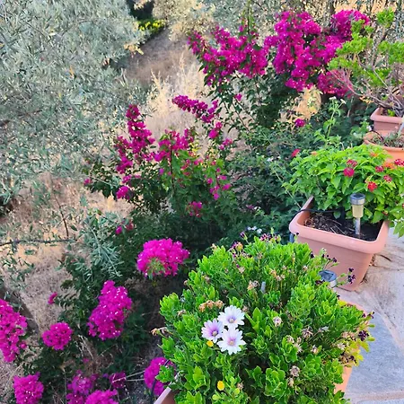 Sea View Goldins House بيت للعطل Pteleós