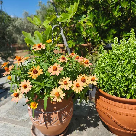 Sea View Goldins House Pteleós